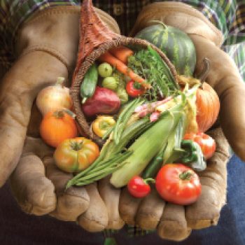 Farms in Parry Sound