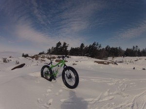 Fatbike parked with windswept pines on horizon