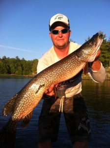 northern pike