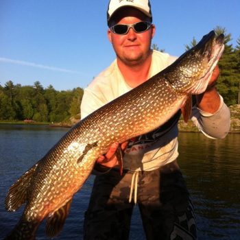 northern pike