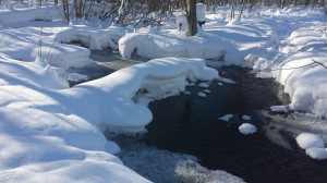 snow in Parry Sound