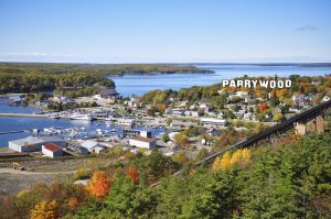 Parrywood