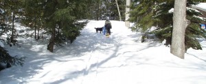 Winter tobogganing