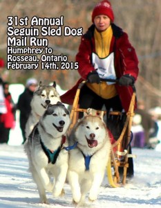 Seguin Sled Dog Poster