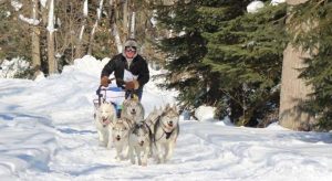 Seguin Sled Dog Mail Run