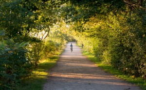 Parry Sound Algonquin Fitness Trail