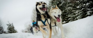 Parry Sound Winter Adventures